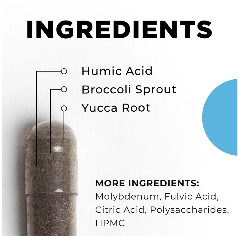 Biotoxin Binder - Microbiome Gut Supplements